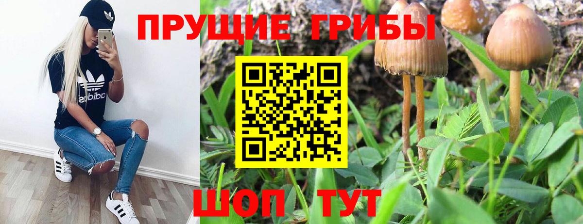 Галлюциногенные грибы MAGIC MUSHROOMS Калач-на-Дону